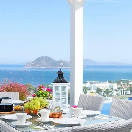 Horizon Villa *